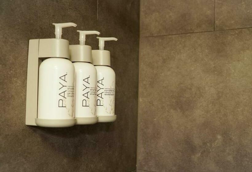 דירת שני חדרים, Alexander's Landing