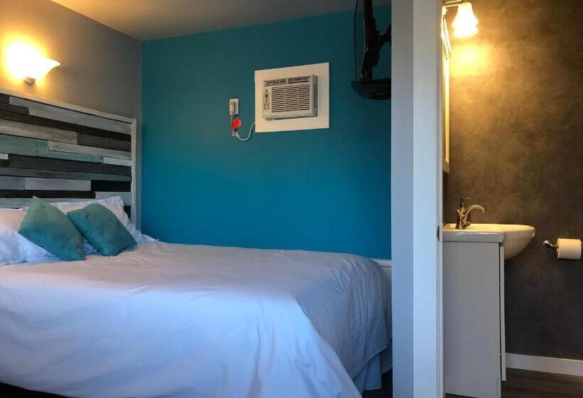 סטודיו דלוקס, Alexander's Landing