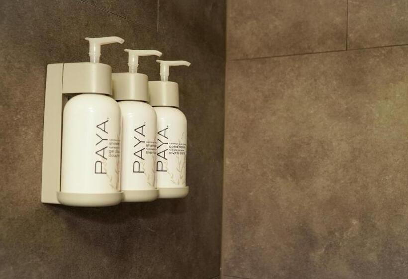 סוויטה משפחתית, Alexander's Landing