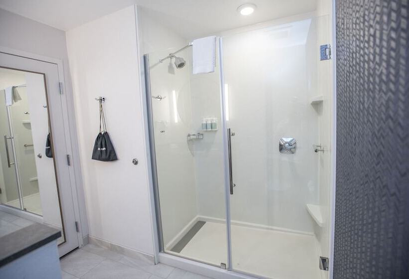 سوییت, Fairfield Inn & Suites By Marriott Indianapolis Greenfield