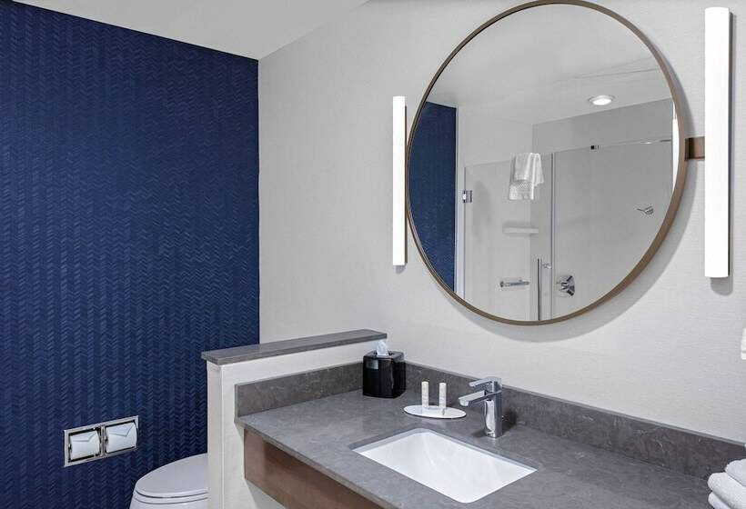 سوییت, Fairfield Inn & Suites By Marriott Indianapolis Greenfield