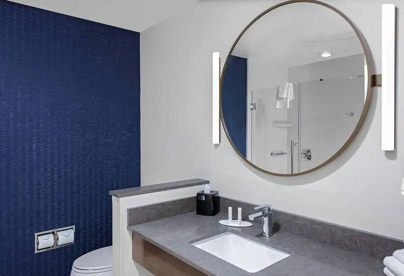 سوییت, Fairfield Inn & Suites By Marriott Indianapolis Greenfield