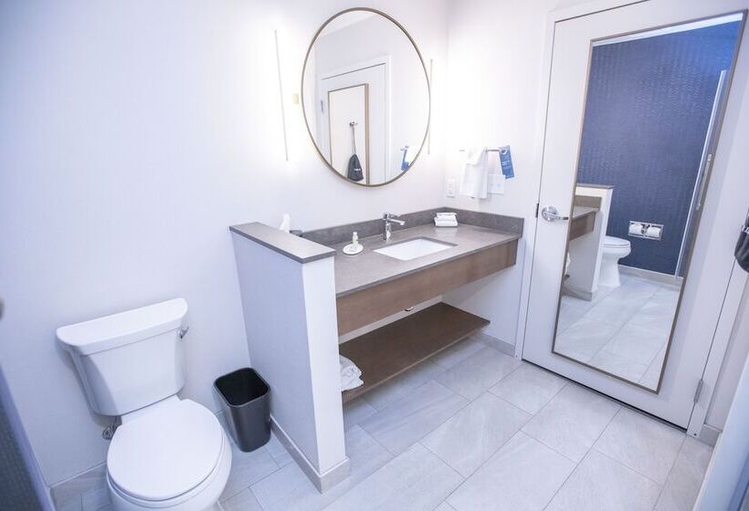 سوییت, Fairfield Inn & Suites By Marriott Indianapolis Greenfield