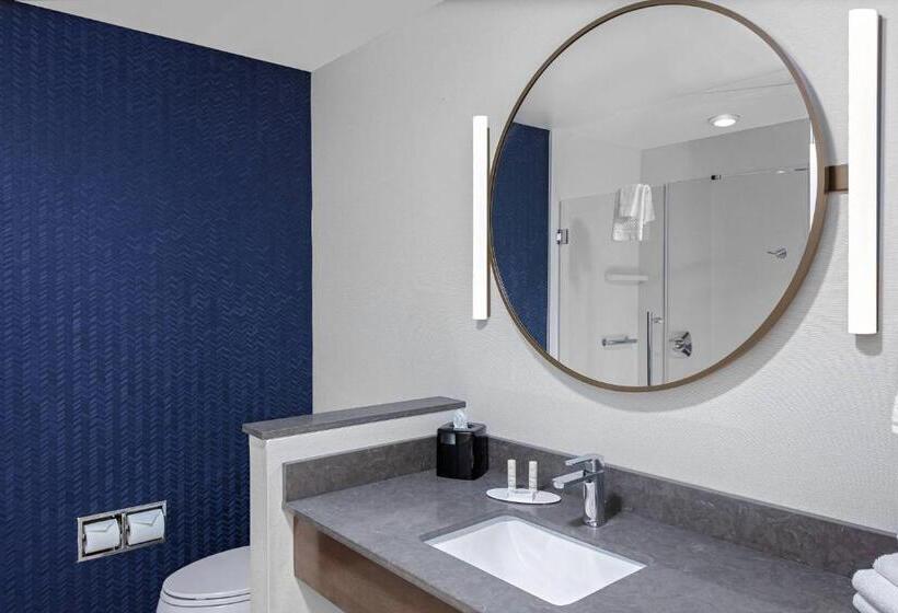 キングサイズベッドのスタンダードルーム, Fairfield Inn & Suites By Marriott Indianapolis Greenfield