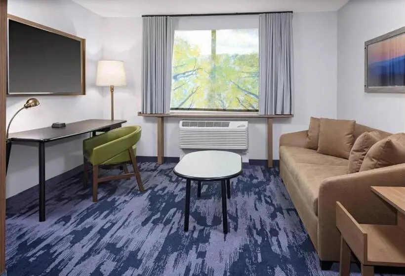 سوئیت با تخت بزرگ, Fairfield Inn & Suites By Marriott Indianapolis Greenfield