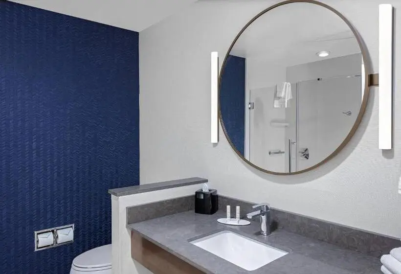 سوئیت با تخت بزرگ, Fairfield Inn & Suites By Marriott Indianapolis Greenfield