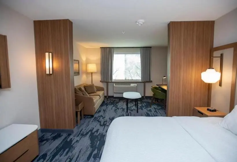 سوئیت با تخت بزرگ, Fairfield Inn & Suites By Marriott Indianapolis Greenfield