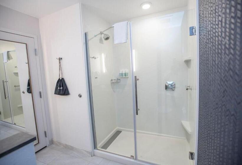 سوئیت با تخت بزرگ, Fairfield Inn & Suites By Marriott Indianapolis Greenfield