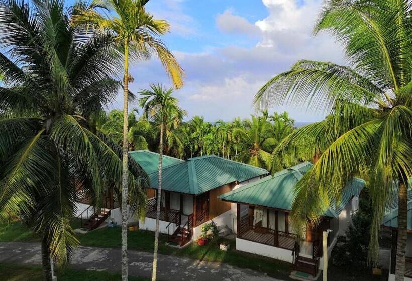 غرفة ديلوكس, Rainforest Resort