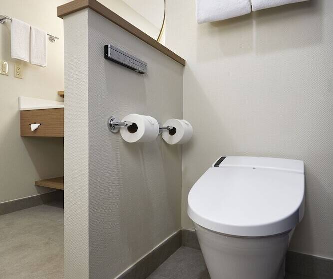 스탠다드 룸 더블 침대 2개, Fairfield Inn & Suites Silao Guanajuato Airport