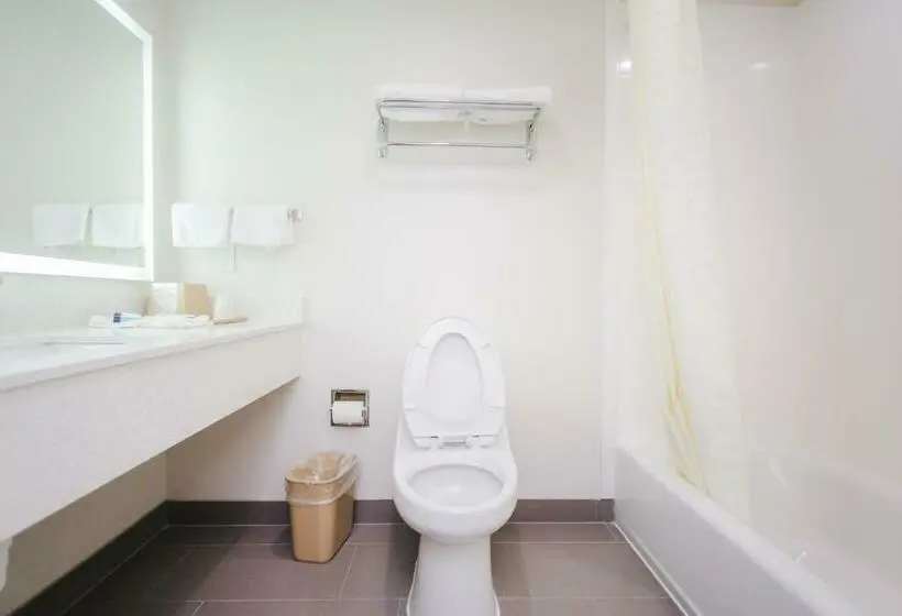 Deluxe-studio, Palace Inn  Louetta
