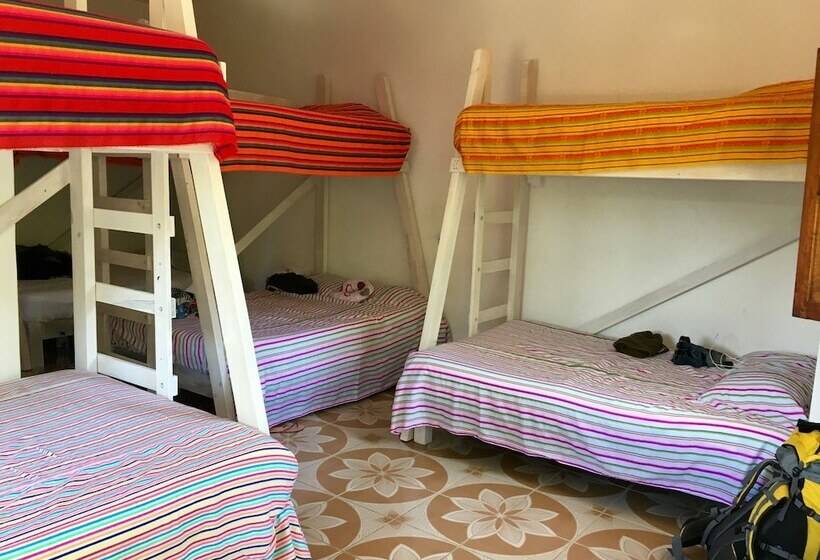 تختخواب در اتاق مشترک, Nomad Beach House   Hostel