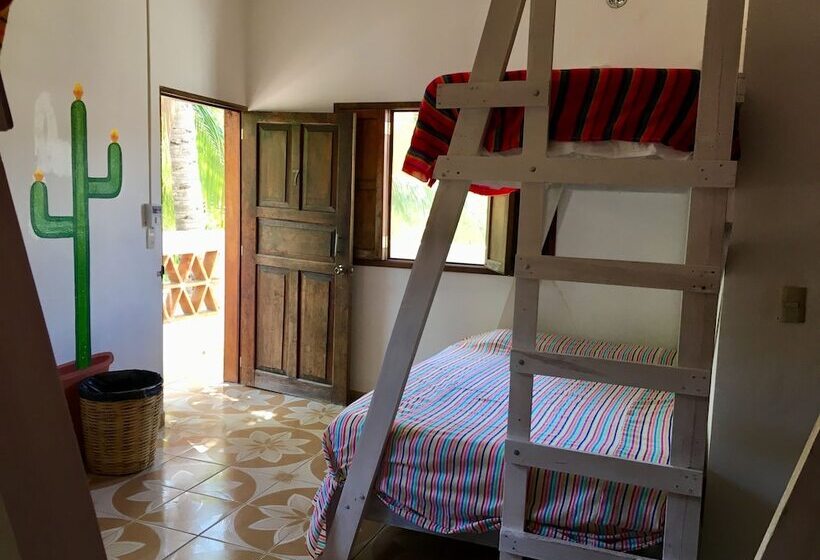 تختخواب در اتاق مشترک, Nomad Beach House   Hostel