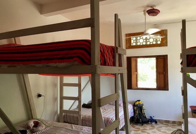 تختخواب در اتاق مشترک, Nomad Beach House   Hostel