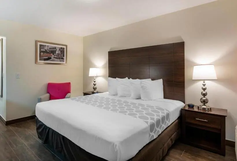 اتاق استاندارد با تخت بزرگ برای معلولان, Rodeway Inn Near Hollywood Beach