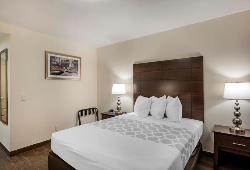 חדר סטנדרט, מיטת קינג, מותאם לאדם עם מוגבלויות, Rodeway Inn Near Hollywood Beach