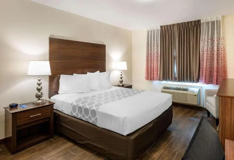 اتاق استاندارد با تخت بزرگ برای معلولان, Rodeway Inn Near Hollywood Beach