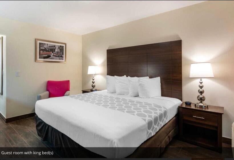 Номер Стандарт Кровать Кинг Адаптированный для Инвалидов, Rodeway Inn Near Hollywood Beach