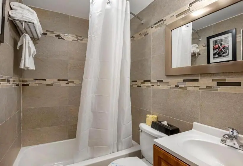 اتاق استاندارد با تخت بزرگ, Rodeway Inn Near Hollywood Beach