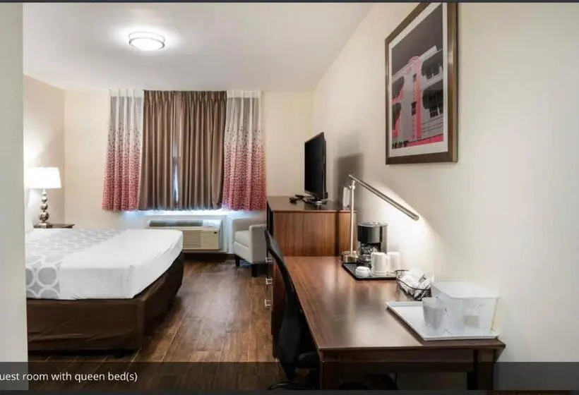 اتاق استاندارد, Rodeway Inn Near Hollywood Beach