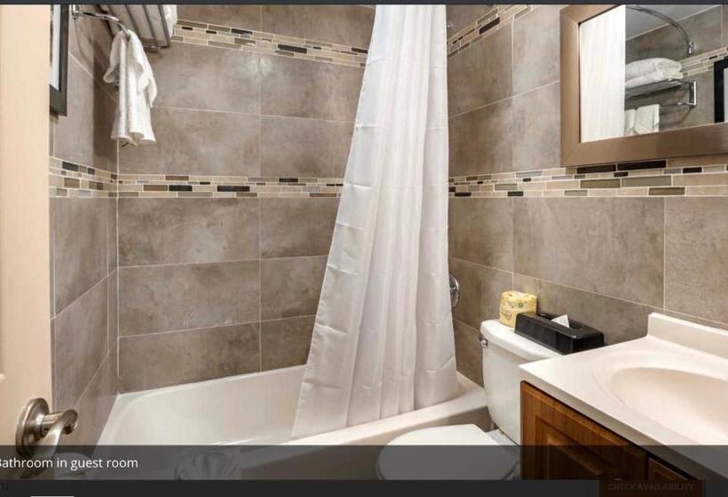 חדר סטנדרט, Rodeway Inn Near Hollywood Beach