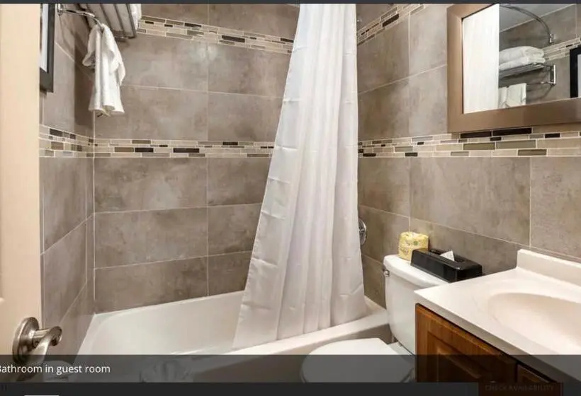 اتاق استاندارد, Rodeway Inn Near Hollywood Beach