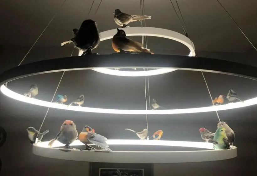 バルコニー付き１ベッドルームアパートメント, Gästehaus Susanne Pfaffmann