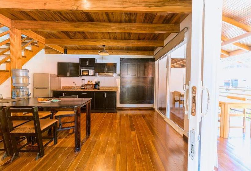 סוויטת ג'וניור, Terrazas Del Caribe