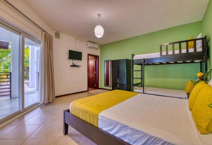 חדר סטנדרט לארבעה, Terrazas Del Caribe