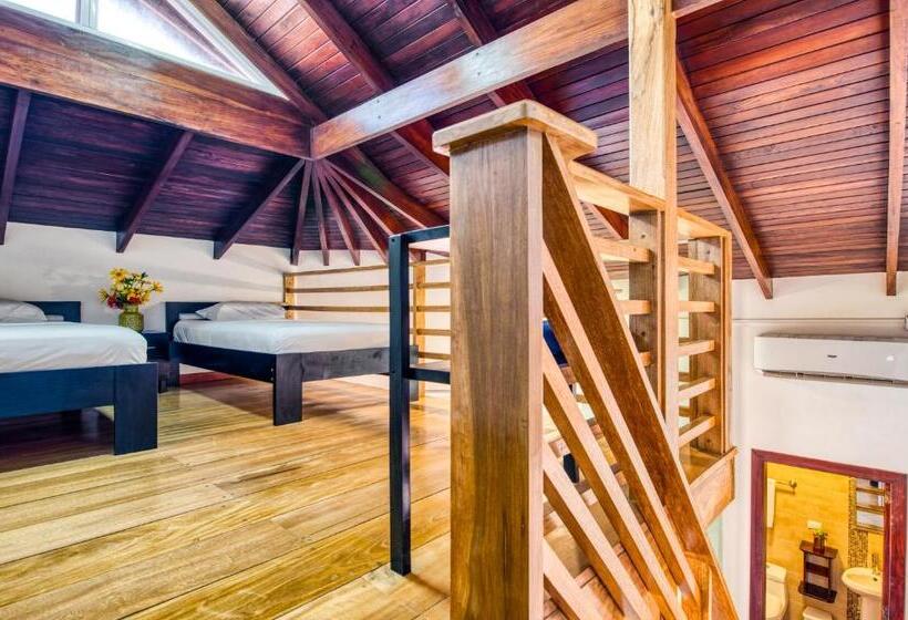 חדר לארבעה סטנדרטי עם נוף לגינה, Terrazas Del Caribe