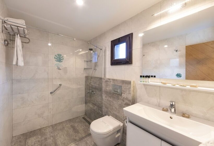 Люкс, Dorman Suites