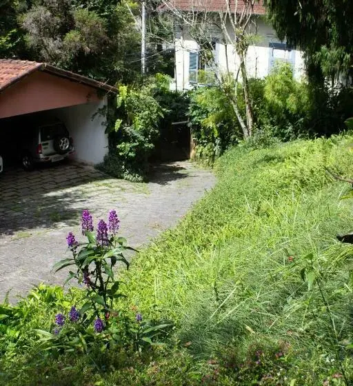 プールビュースイート, Villa Violeta