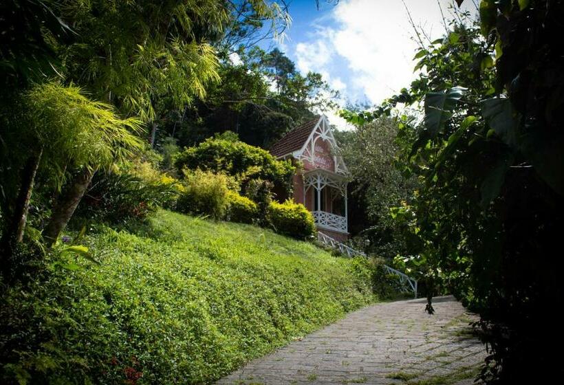 풀장 전망 스위트, Villa Violeta