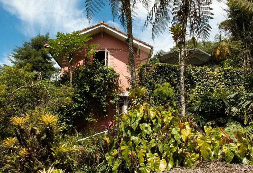 Люкс Вид на Бассейн, Villa Violeta