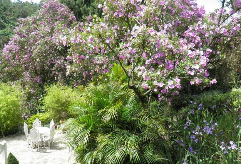 풀장 전망 스위트, Villa Violeta