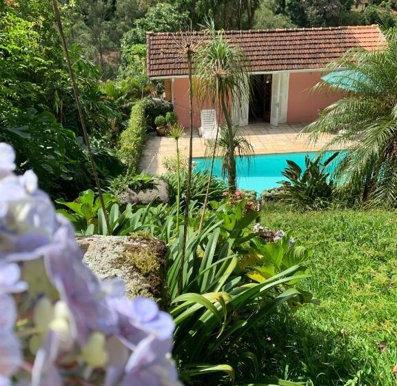 套房带泳池景, Villa Violeta