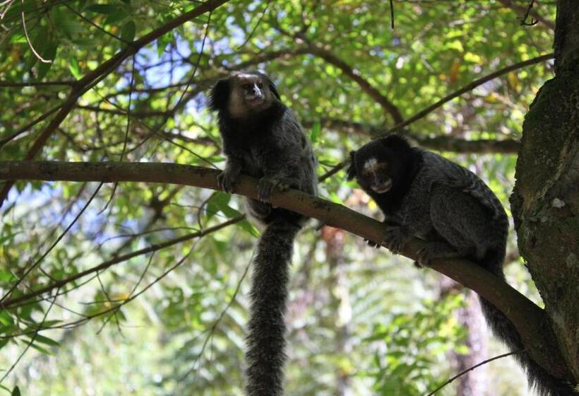 디럭스 스위트, Villa Violeta