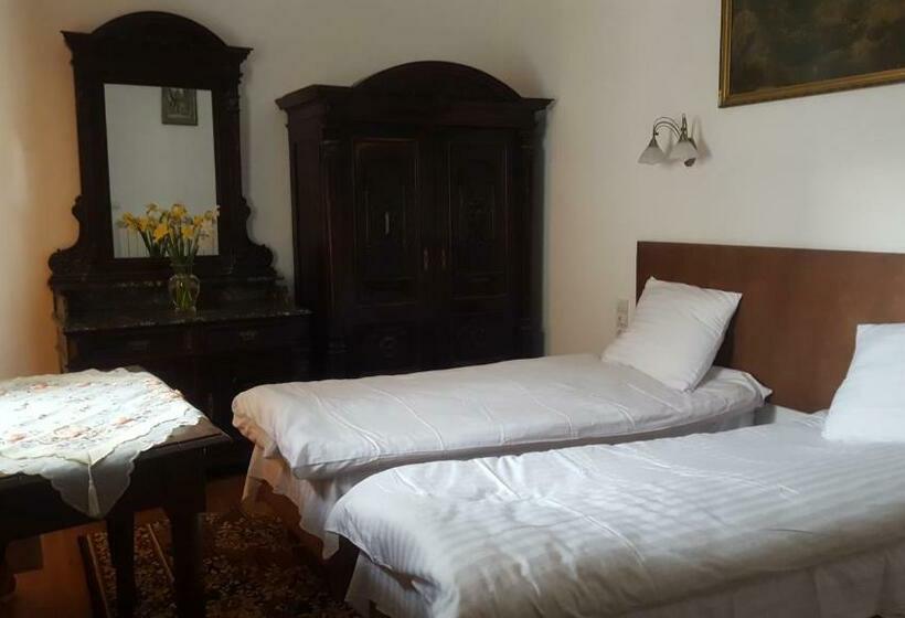 Полулюкс Одноместный с Террасой, Room In An Old House