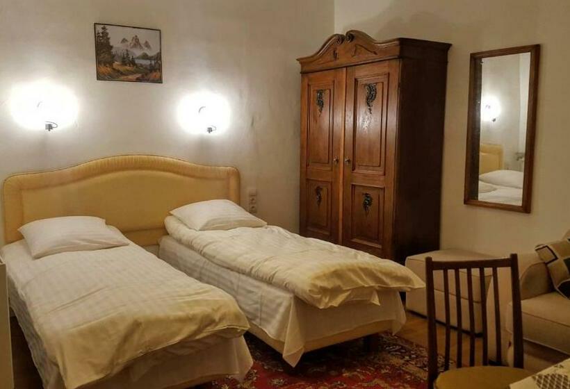 Полулюкс Одноместный с Террасой, Room In An Old House