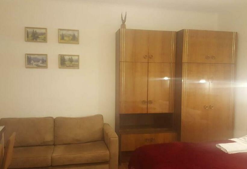 Полулюкс Одноместный с Террасой, Room In An Old House