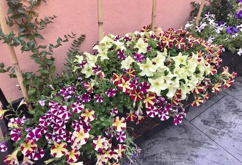 标准间, B&b Puente De órbigo