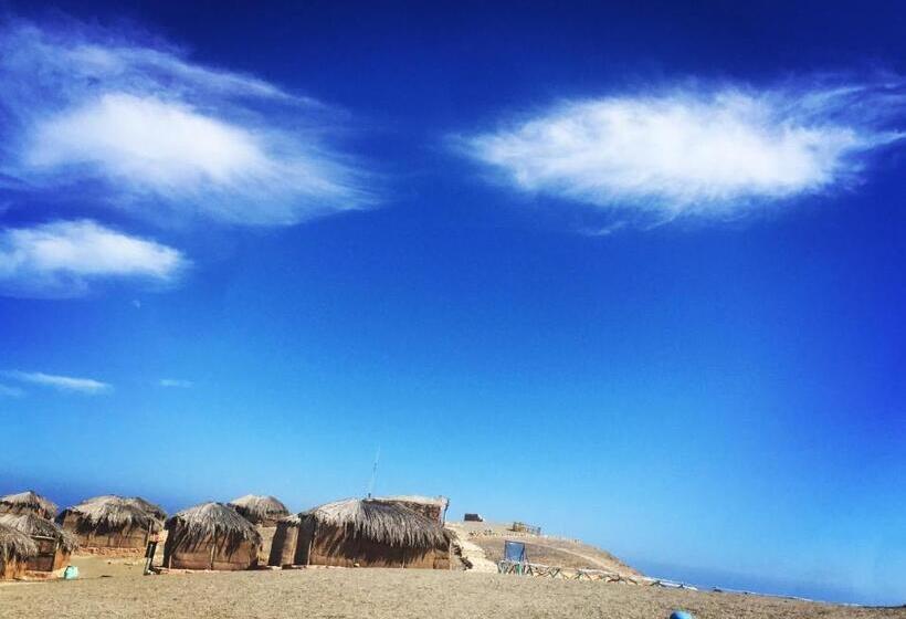 اتاق اکونومی, Deep South Eco Lodge