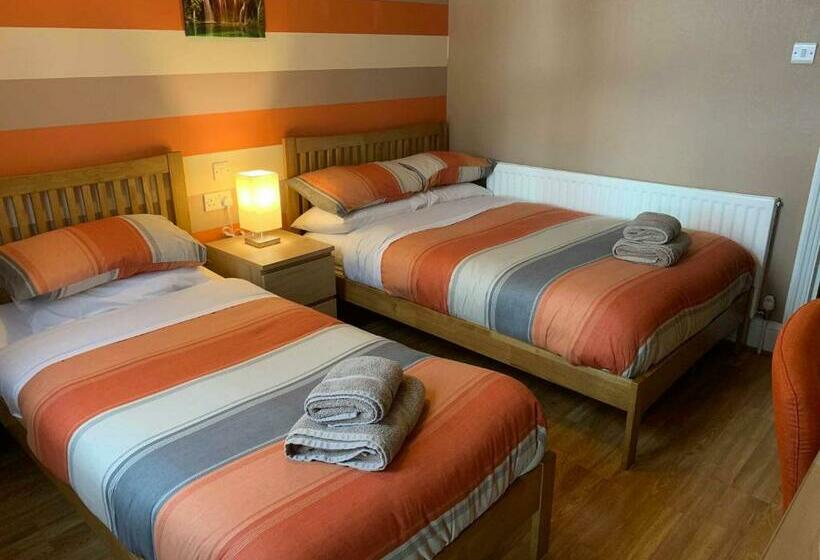 スタンダードルーム, Central