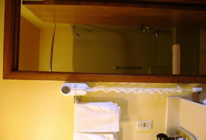 带大床的标准间, Lake Palestine Motor Inn