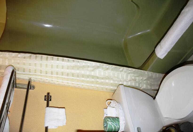 带大床的标准间, Lake Palestine Motor Inn