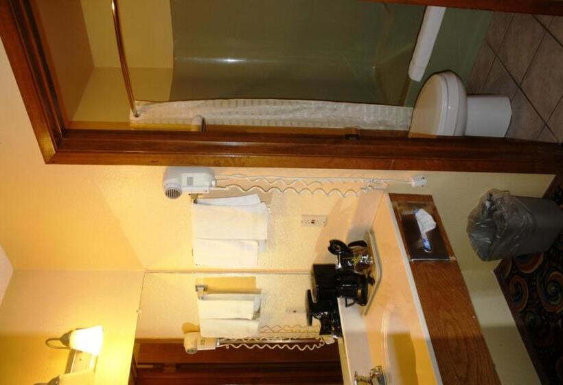 带大床的标准间, Lake Palestine Motor Inn