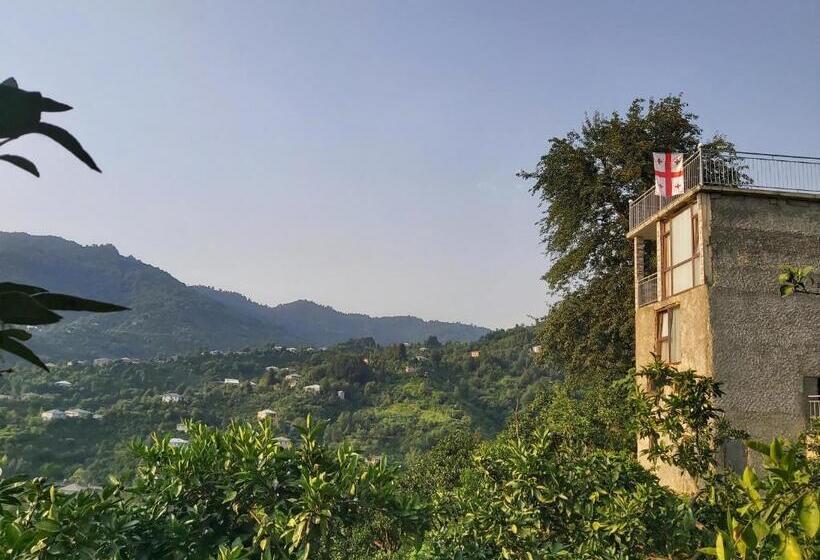 آپارتمان 1 خوابه با بالکن, Mtirala House