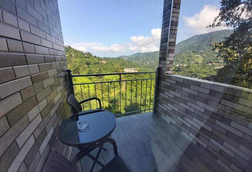 آپارتمان 1 خوابه با بالکن, Mtirala House