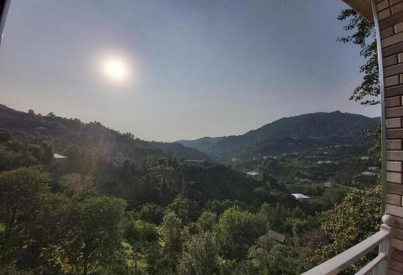 آپارتمان 1 خوابه با بالکن, Mtirala House