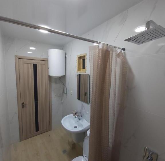 آپارتمان 1 خوابه با بالکن, Mtirala House